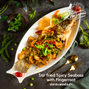 Stir fried Spicy Seabass with Fingerroot ปลากะพงผัดฉ่า ริมลากูนคาเฟ่ มีนบุรี ร่มเกล้า ลาดกระบัง