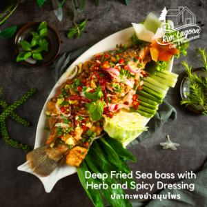 Deep Fried Sea bass with Herb and Spicy Dressing ปลากะพงยำสมุนไพร ริมลากูนคาเฟ่ มีนบุรี ร่มเกล้า ลาดกระบัง